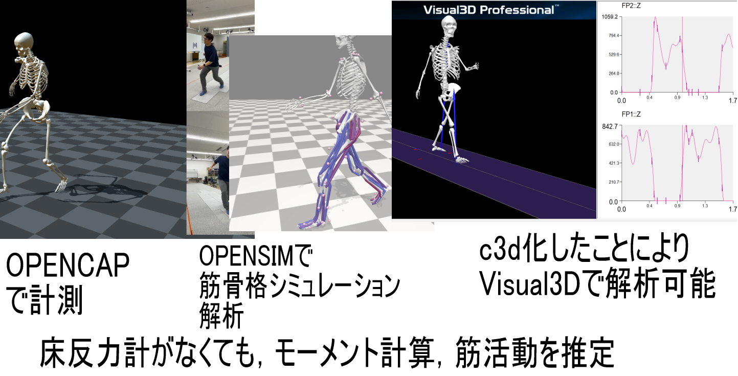 シミュレーション画像